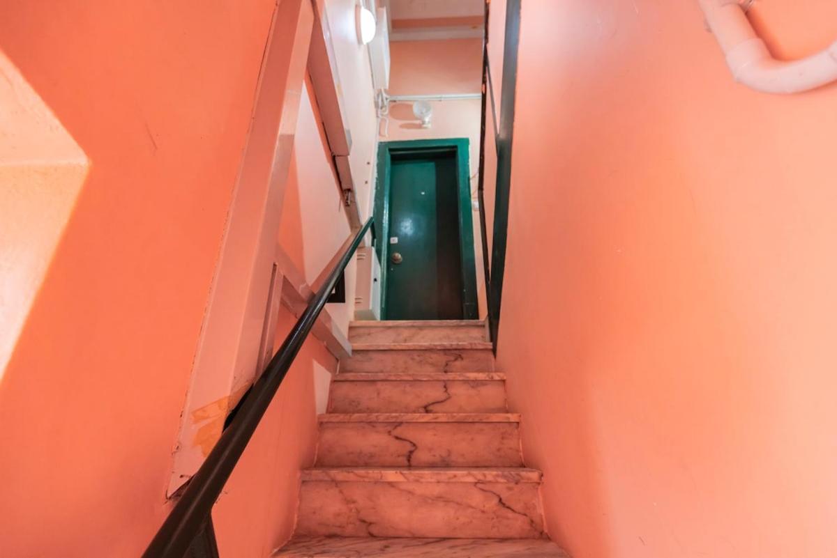 The Nest Of Carriao Street *